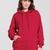 Premium Hoodie