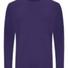 Sport Long Sleeve Tshirt, Purple