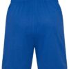 WH-BLANK-SH-UN-RoyalBlue-back Sport Shorts, Royal Blue