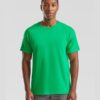 WH-BLANK-TS-UN-KellyGreen-model-front Premium Tshirt