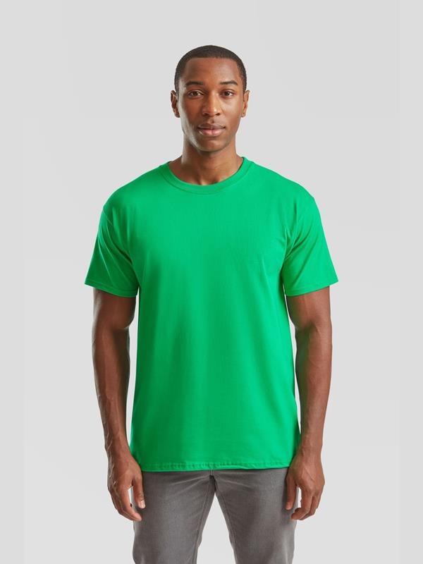WH-BLANK-TS-UN-KellyGreen-model-front Premium Tshirt
